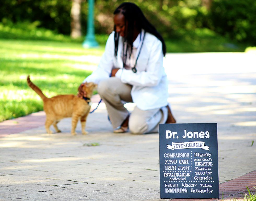Dr. Jones stroking a cat in a green area