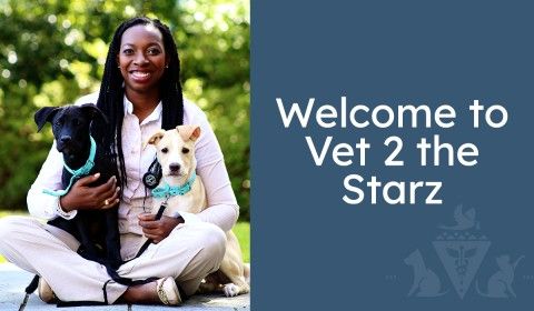 Welcome to Vet 2 the Starz